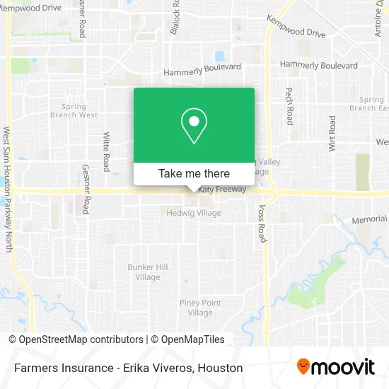 Farmers Insurance - Erika Viveros map