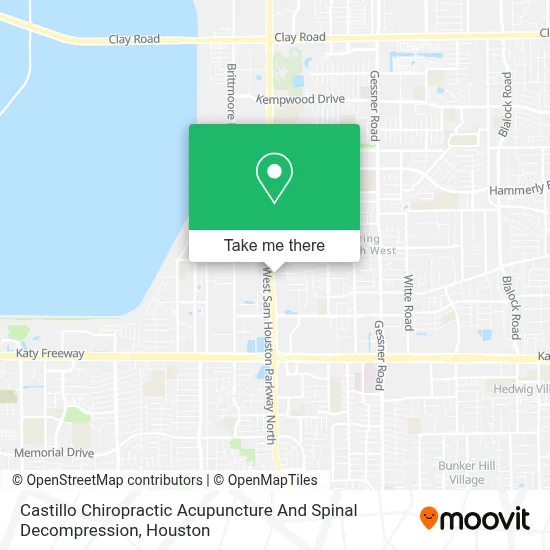 Castillo Chiropractic Acupuncture And Spinal Decompression map