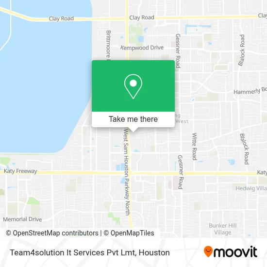 Team4solution It Services Pvt Lmt map