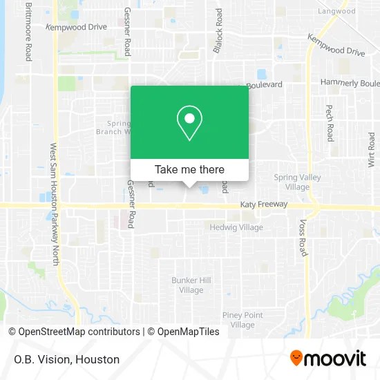 O.B. Vision map