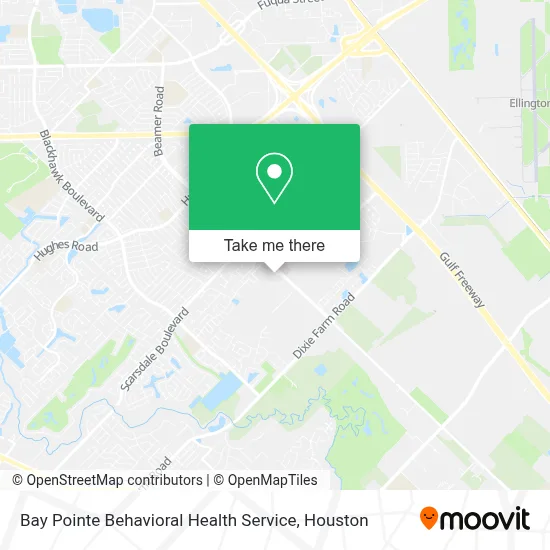 Bay Pointe Behavioral Health Service map