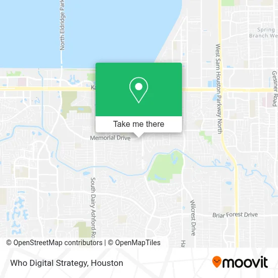 Who Digital Strategy map