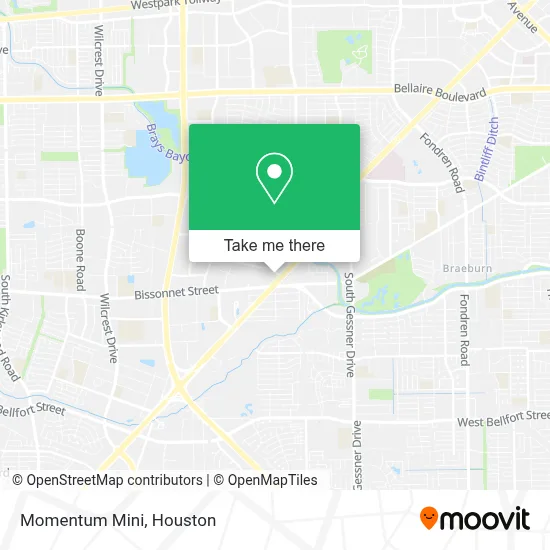 Momentum Mini map