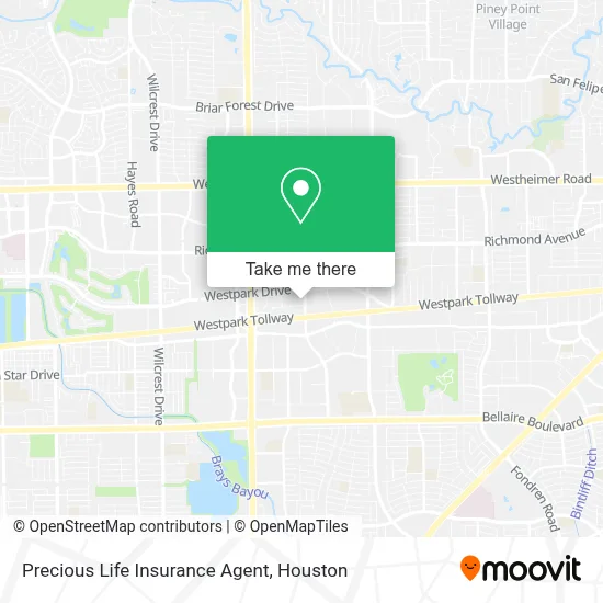 Precious Life Insurance Agent map