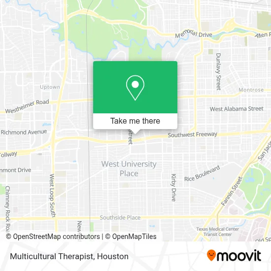 Multicultural Therapist map