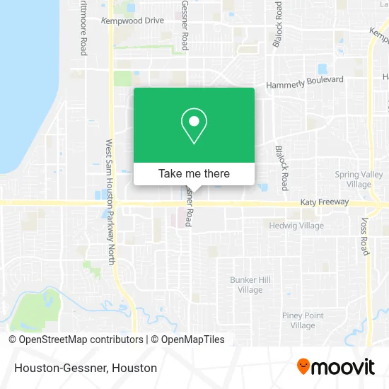 Houston-Gessner map