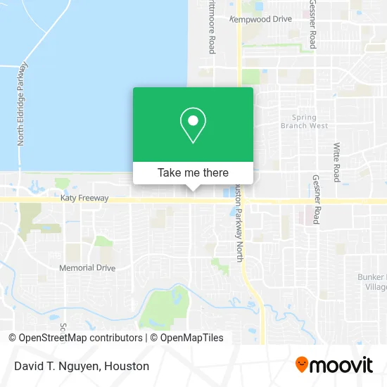 David T. Nguyen map