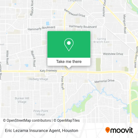 Eric Lezama Insurance Agent map