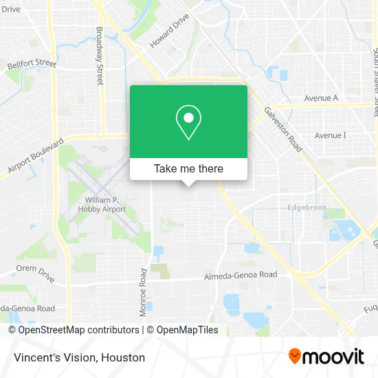 Vincent's Vision map