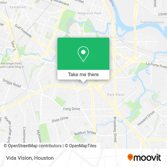 Vida Vision map