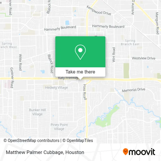 Matthew Palmer Cubbage map
