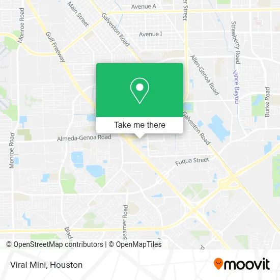 Viral Mini map