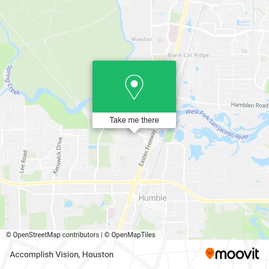 Accomplish Vision map