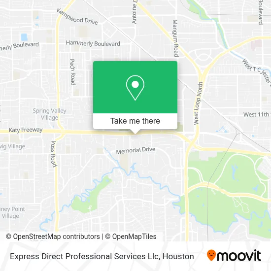 Express Direct Professional Services Llc map