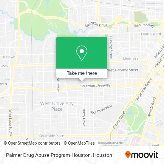 Palmer Drug Abuse Program-Houston map