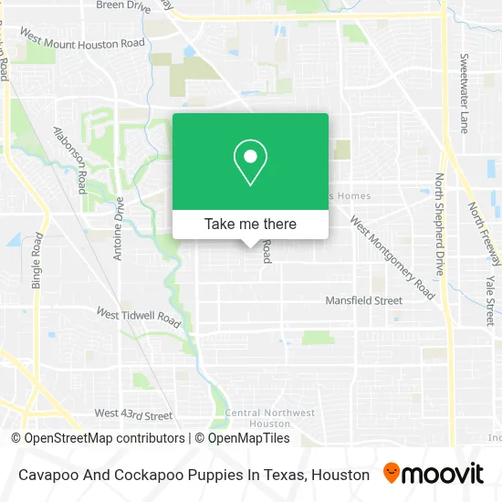 Cavapoo And Cockapoo Puppies In Texas map