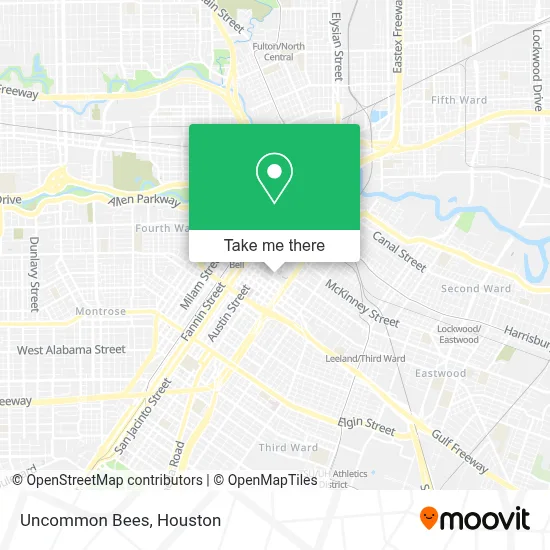 Uncommon Bees map