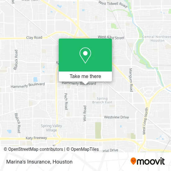 Marina's Insurance map
