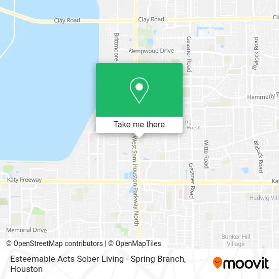 Esteemable Acts Sober Living - Spring Branch map