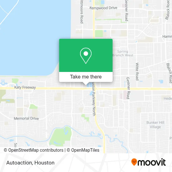 Autoaction map