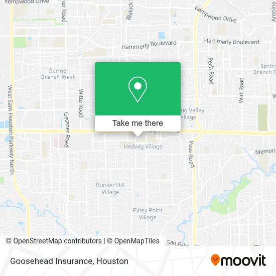 Goosehead Insurance map
