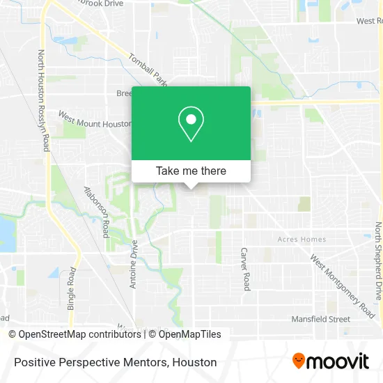 Positive Perspective Mentors map