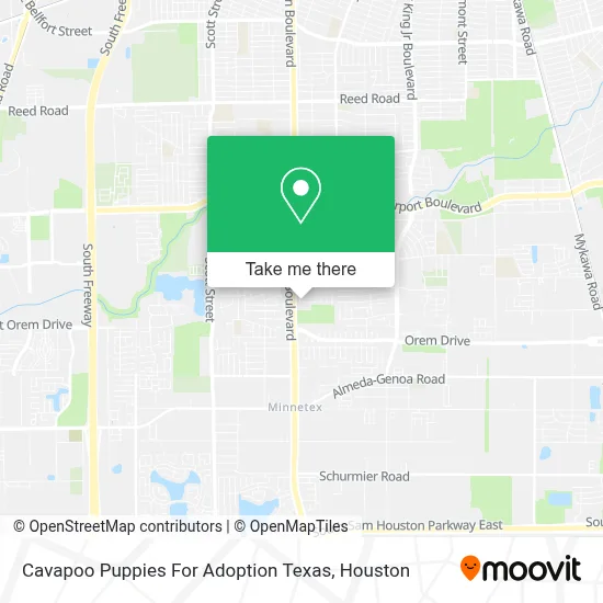 Cavapoo Puppies For Adoption Texas map