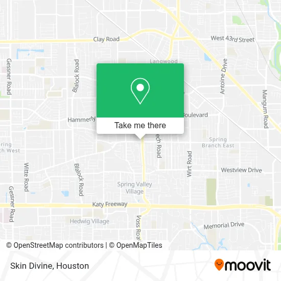 Skin Divine map