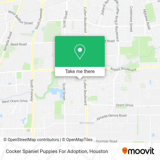 Cocker Spaniel Puppies For Adoption map