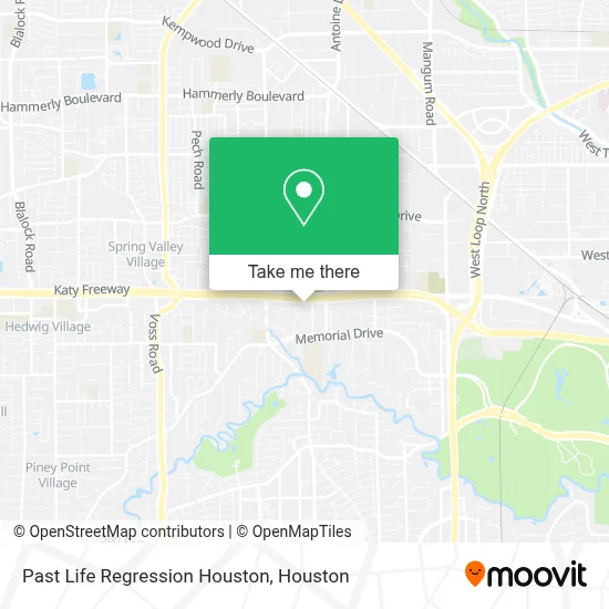 Past Life Regression Houston map