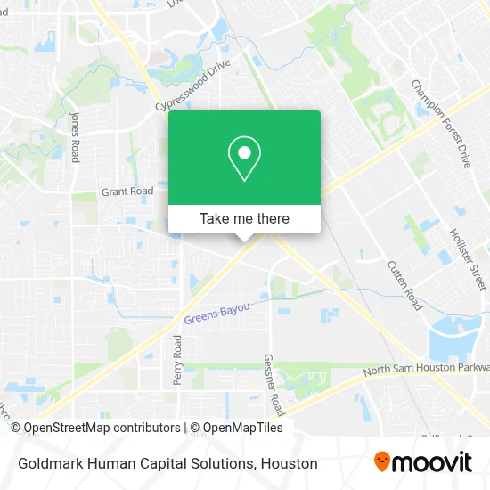 Goldmark Human Capital Solutions map