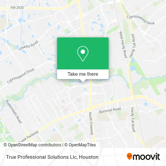 True Professional Solutions Llc map