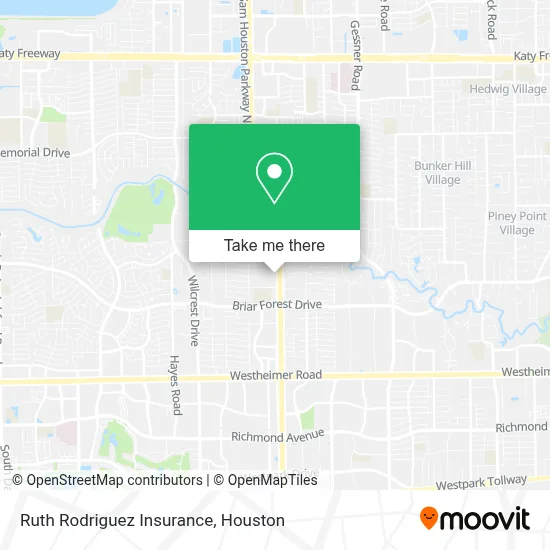 Ruth Rodriguez Insurance map