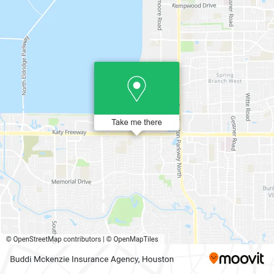 Buddi Mckenzie Insurance Agency map