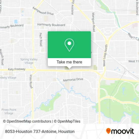 8053-Houston 737-Antoine map