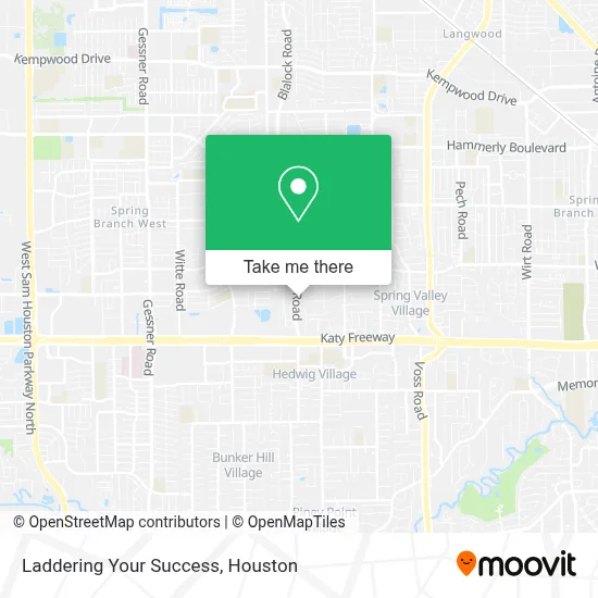 Laddering Your Success map