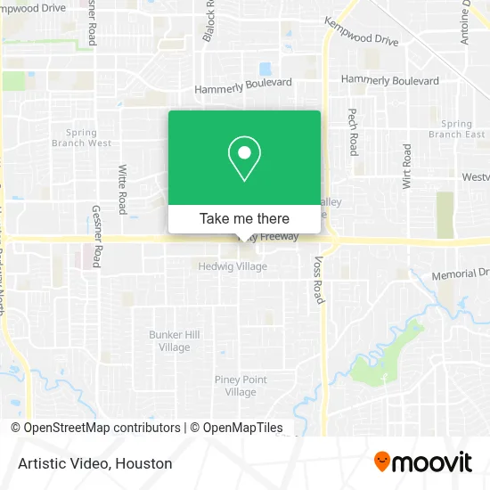 Artistic Video map