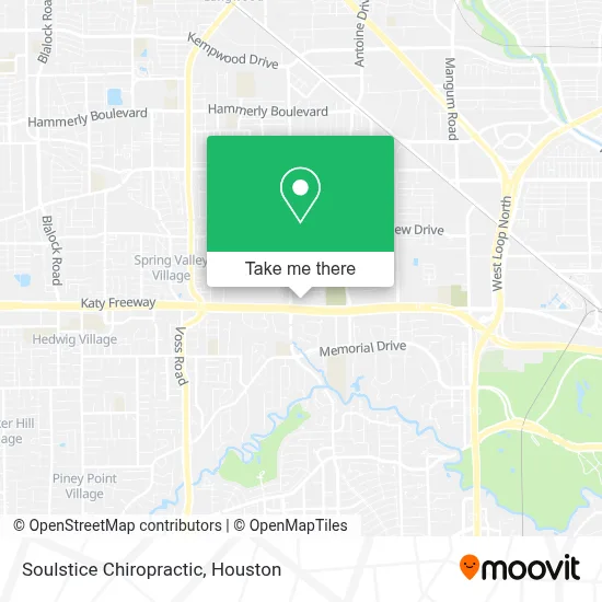 Soulstice Chiropractic map