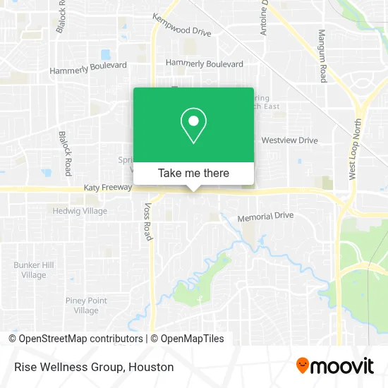 Mapa de Rise Wellness Group