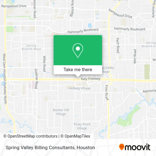 Spring Valley Billing Consultants map