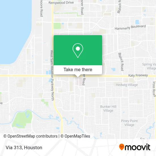 Via 313 map