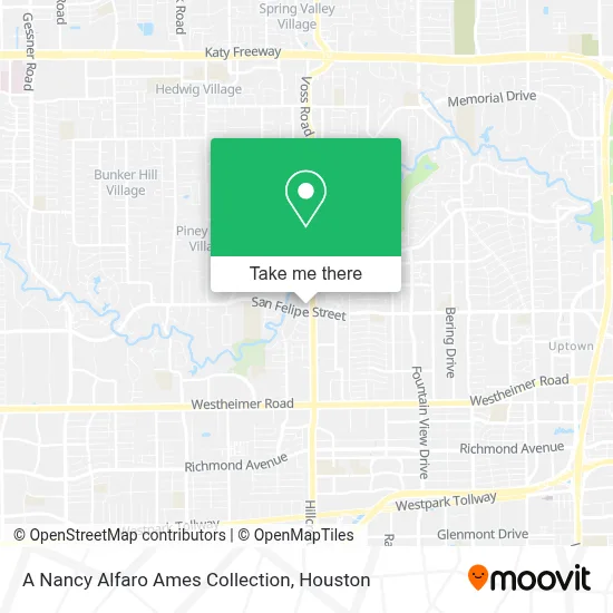 A Nancy Alfaro Ames Collection map