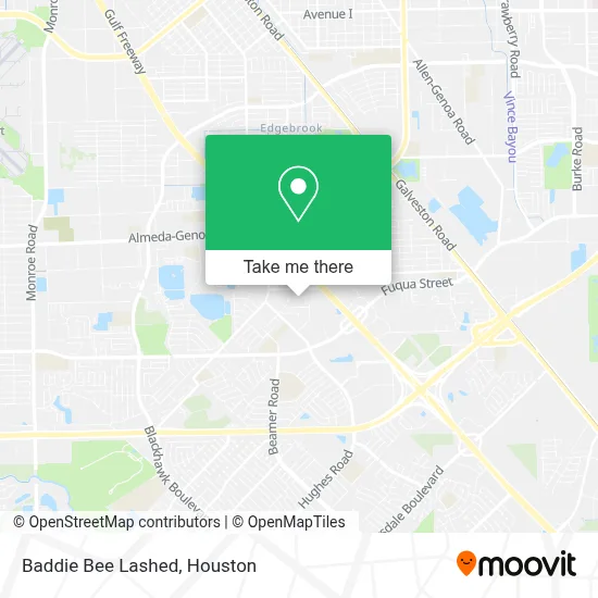 Baddie Bee Lashed map