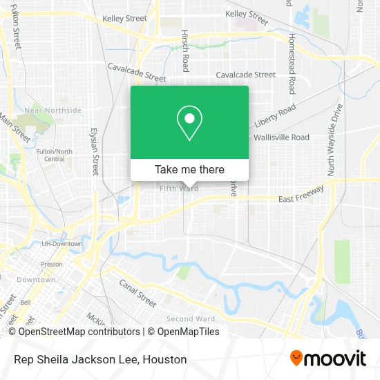 Rep Sheila Jackson Lee map