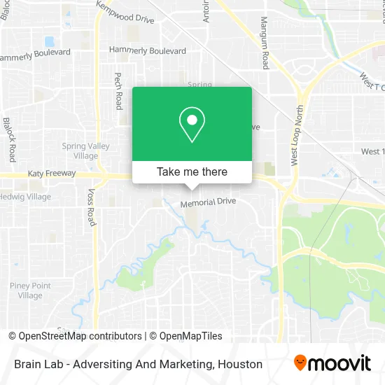 Brain Lab - Adversiting And Marketing map