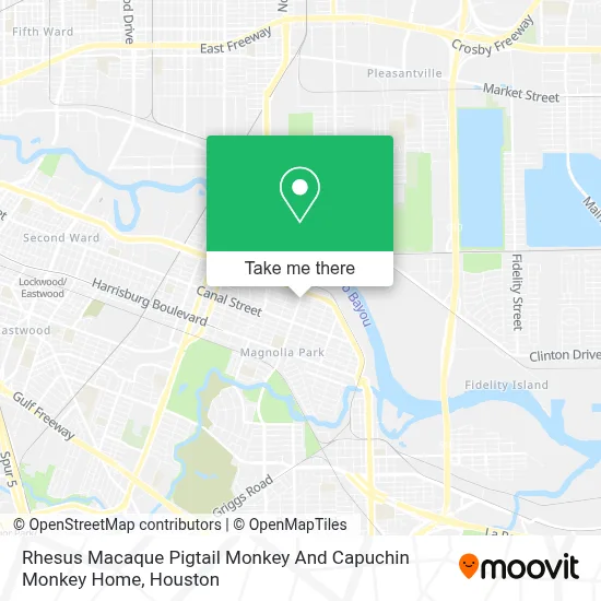 Rhesus Macaque Pigtail Monkey And Capuchin Monkey Home map