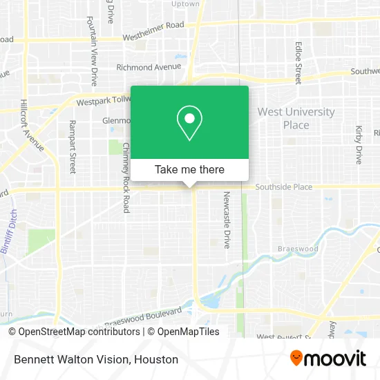 Bennett Walton Vision map