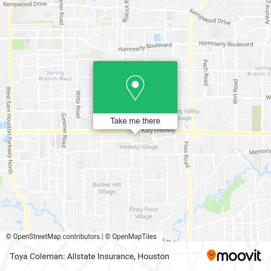 Toya Coleman: Allstate Insurance map