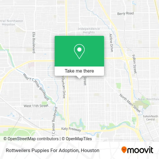 Rottweilers Puppies For Adoption map