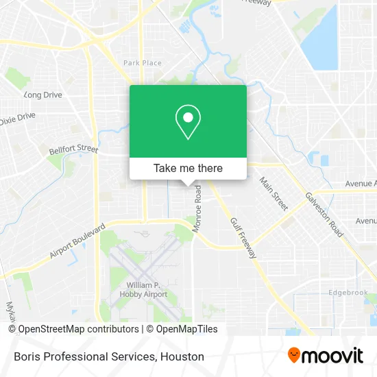 Boris Professional Services map
